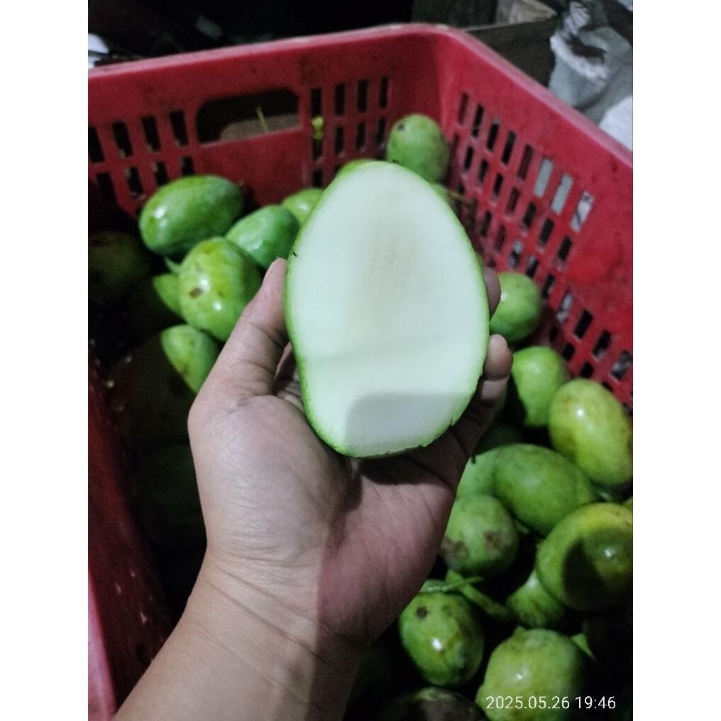 

Special Price Mangga Madu Manalagi 1Kg Bisa Request 1Kg Isi 4-5