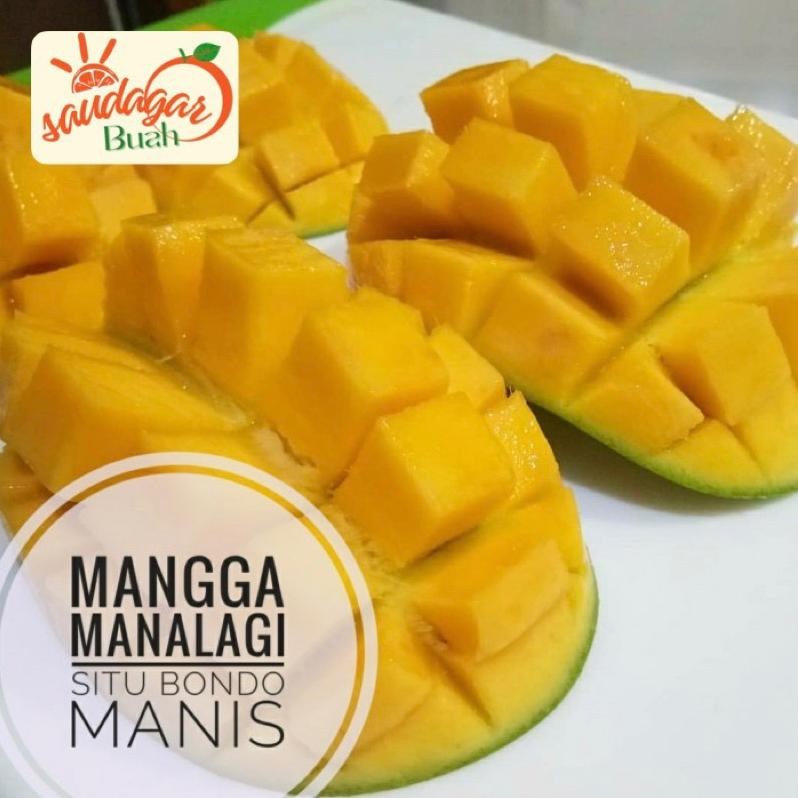 

Harga Terjangkau Buah Mangga Manalagi Manis Mangga Simanalagi 1Kg Murmer