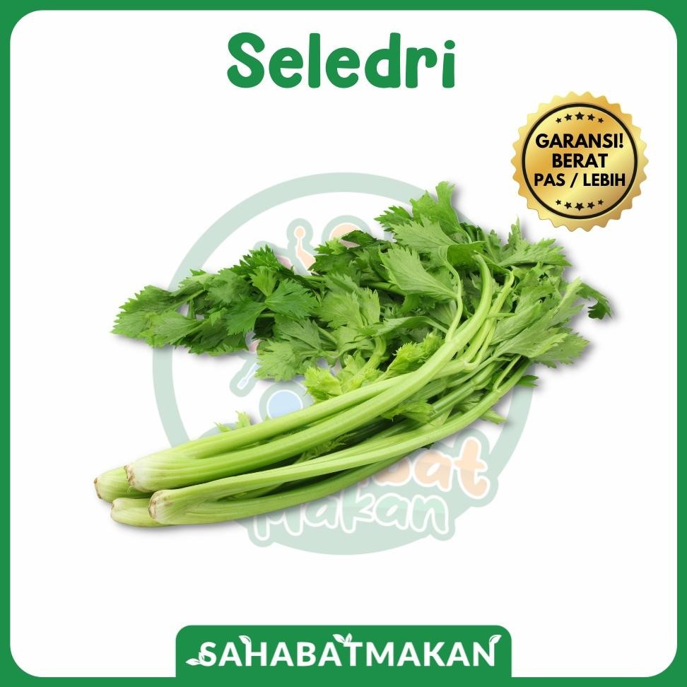 

Terbaru Seledri Sahabat Makan Sayur Jogja