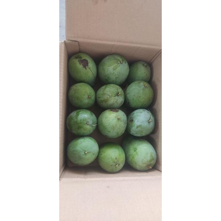 

Paket Mangga Harumanis Manis Matang Mengkal 1Kg