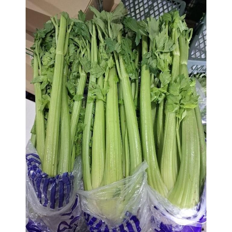 

Berkualitas Tinggi Celery Stick Import - Celery Stick 1Kg - Seledri Batang - Fresh Per Kg