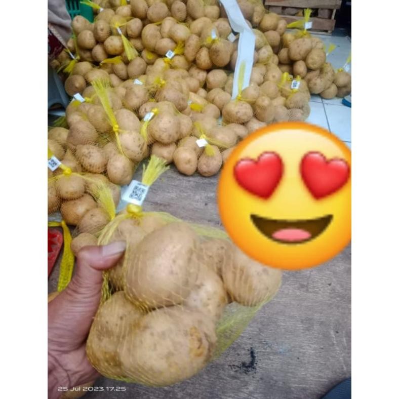 

Dapatkan Kentang Dieng Kualitas Lokal@1Kg