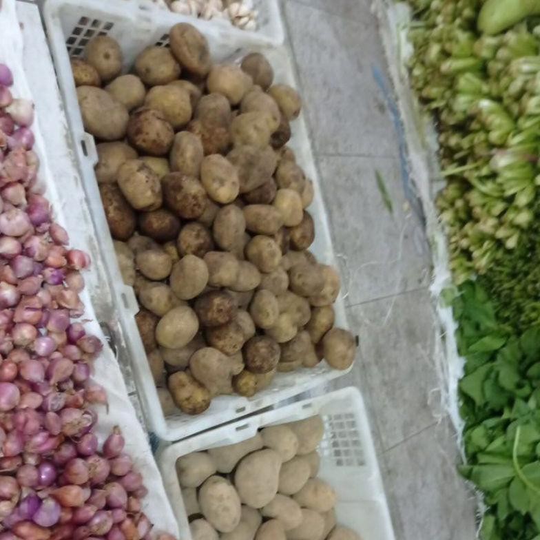 

Promo Kentang Segar Jatim 500Gr