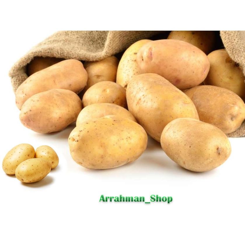 

Berkualitas Tinggi Kentang - Kentang Dieng - Kentang Super Segar Fresh