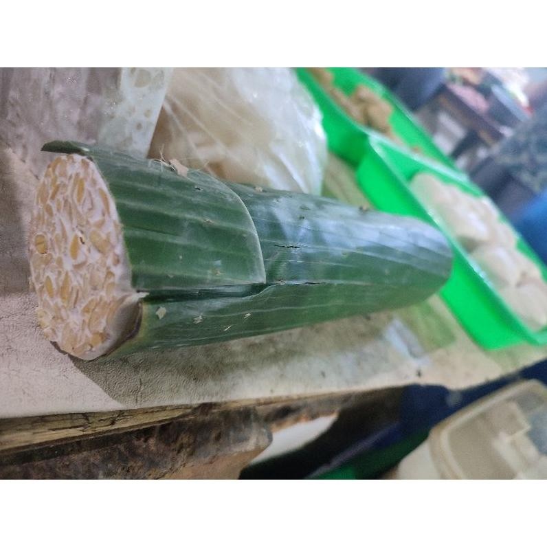 

Cod Tempe Bulat / Tempe Bundar Ukuran Panjang 1Pcs