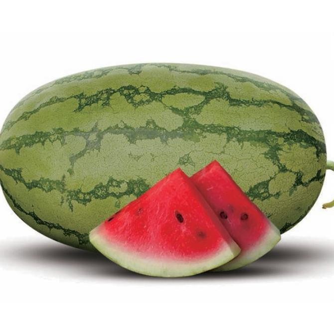Benih Bibit Biji - Buah Semangka DIVA F1 Hibrida Lonjong Kulit Hijau Berlurik Daging Merah Manis Ber