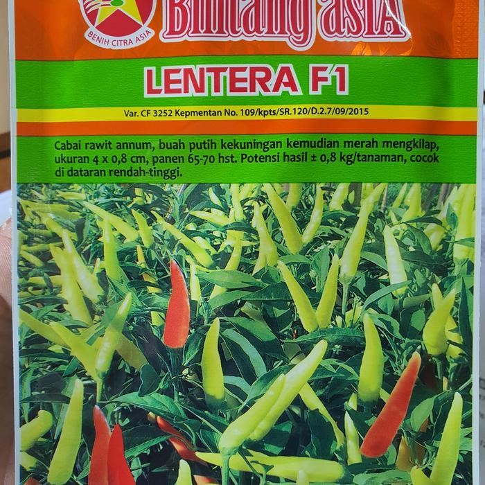 Benih Cabe lentera F1 10gr Promo