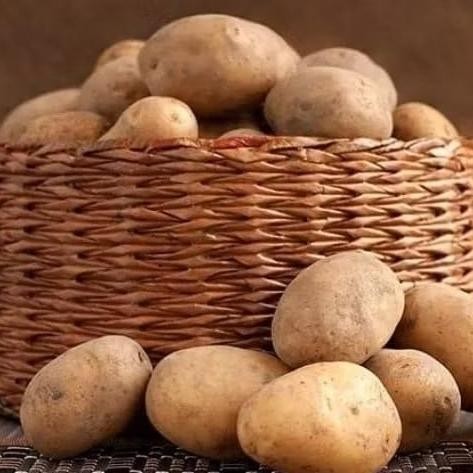 

Waktu Terbatas Kentang Kuning Besar