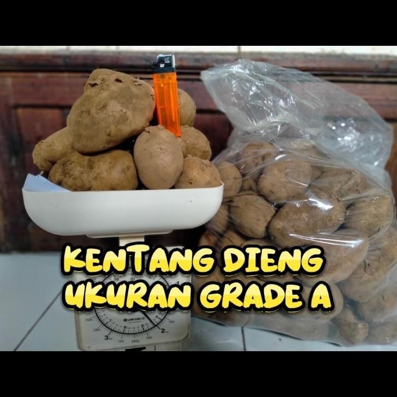 

Fungsi Kentang Dieng ( Potato ) Besar Dan Sedang ( Mix/Campur )