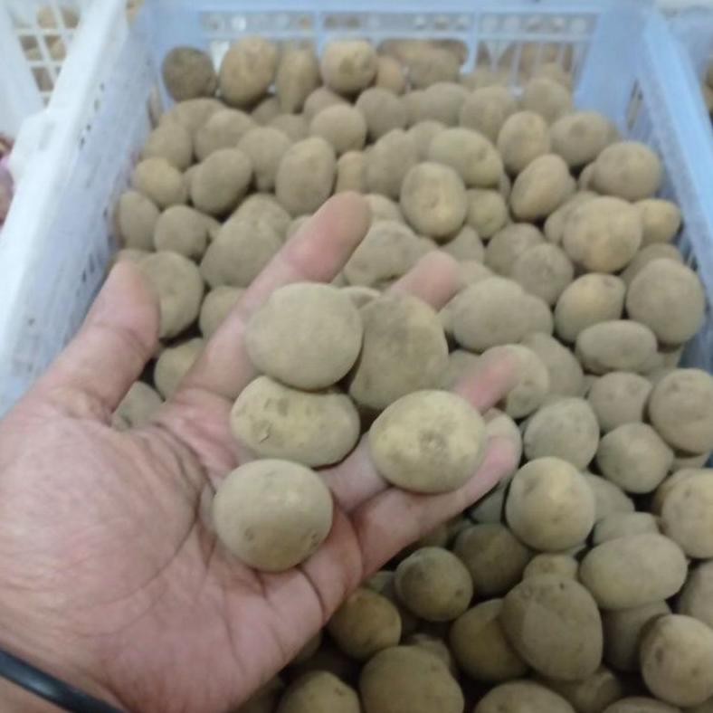 

Pilihan Tepat Kentang Segar Jatim 500Gr