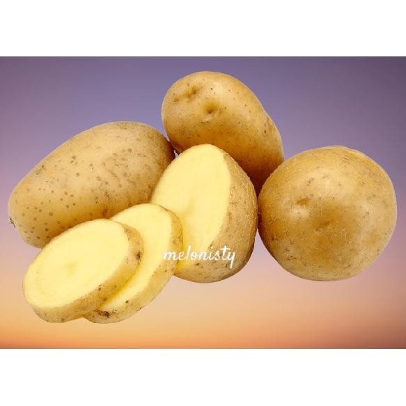 

Nikmati ( Per 500 Gr ) Kentang Kuning Kentang Segar