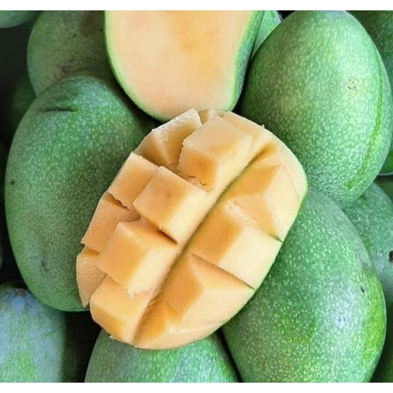 

Promo Mangga Indramayu / Harum Manis / Manalagi 1Kg