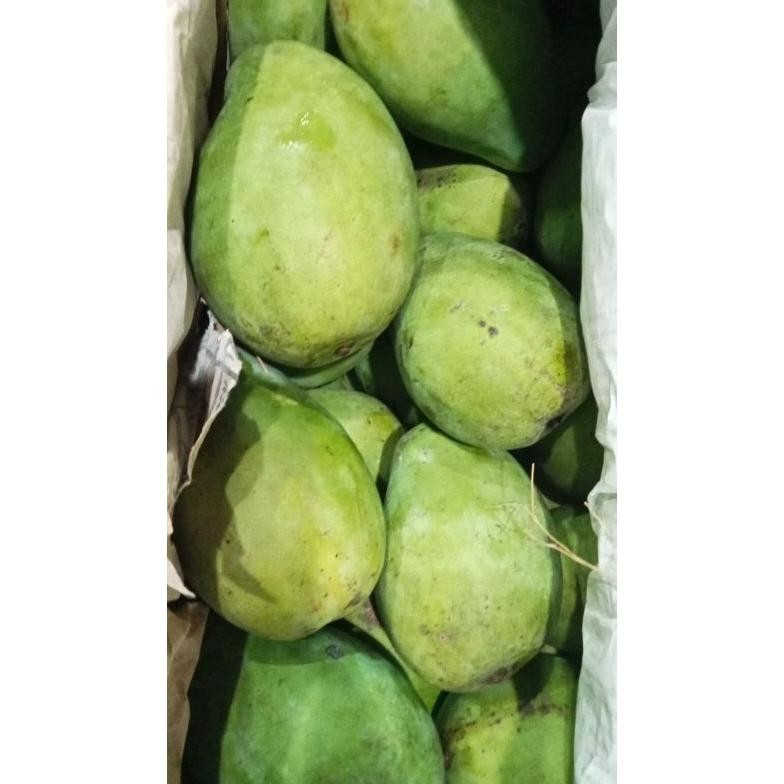 

Inovatif Mangga Indramayu Segar Manis 500 Gr/1 Kg