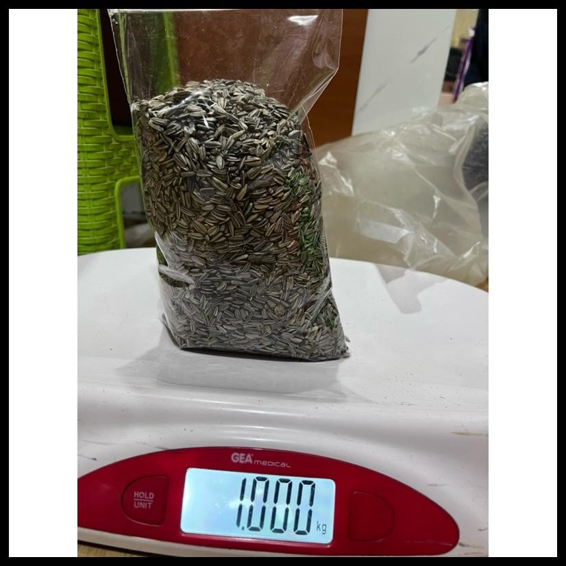 

KUACI KWACI BIJI BUNGA MATAHARI MENTAH UNTUK PAKAN BURUNG, HAMSTER, MARMUT