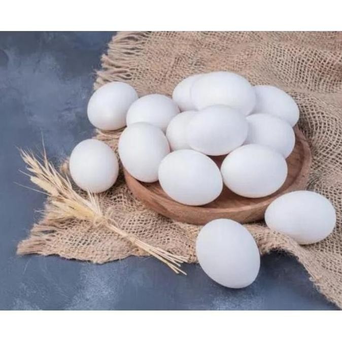 

TELUR VERTIL AYAM KAMPUNG ASLI ( TELUR AKA BISA DI TETASKAN)