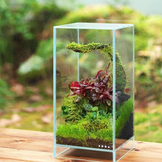 Nano Glass Paludarium Terrarium Wabikusa Aquascape Tank Aquarium Kaca