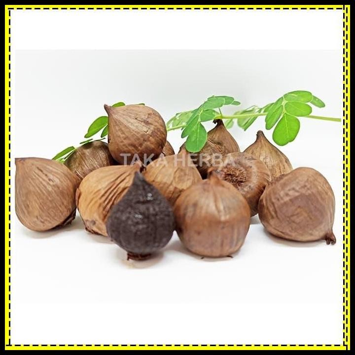 

Terlaris Black Garlic Lanang 1 Kg - Bawang Putih Tunggal Hitam Good Quality