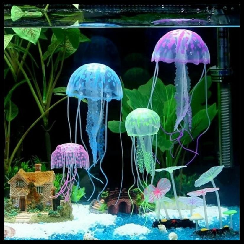 HIASAN AQUARIUM UBUR2 JELLYFISH AKUARIUM UBUR