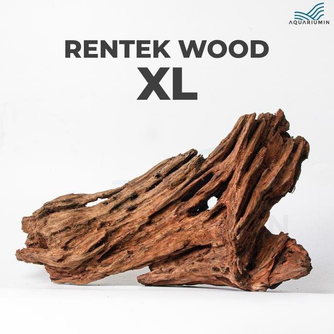 Terlaris Kayu Rentek / Rentek Wood Size Xl Aquascape/ Aquarium