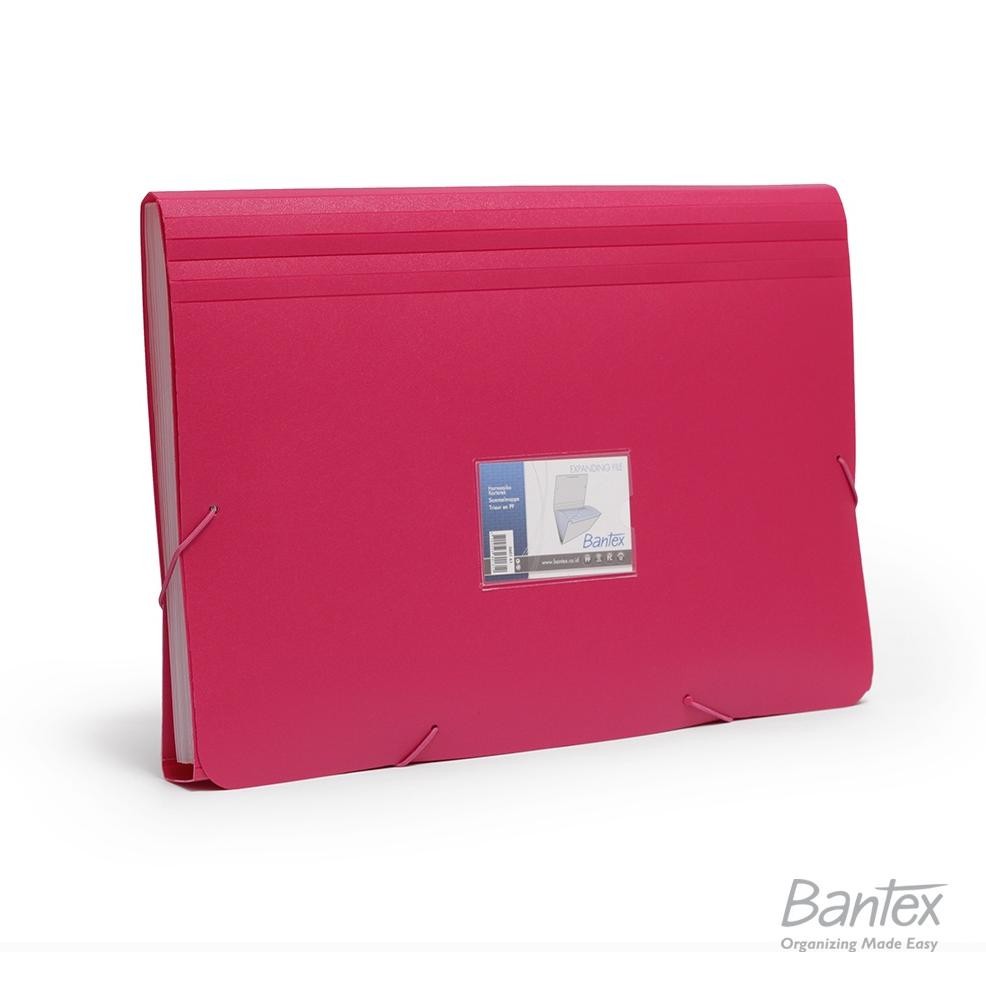 

LINDU Bantex Expanding File PP Folio Grape #3601 61