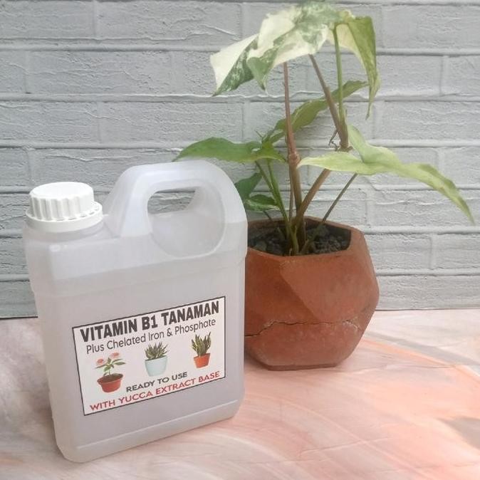 NEW Pupuk Tanaman Vitamin B1 Untuk Kesuburan Aneka Jenis Tanaman