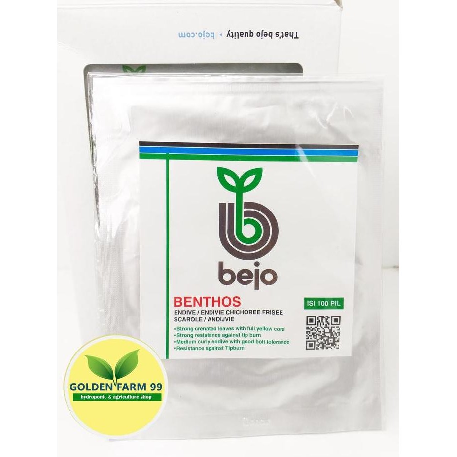 baru Benih Endive BENTHOS Bejo Seed Import - Tipe Endive Curly
