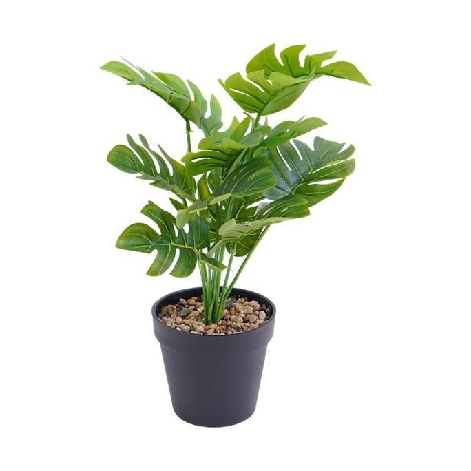 

SELMA TANAMAN ARTIFISIAL MONSTERA DENGAN POT - HIJAU