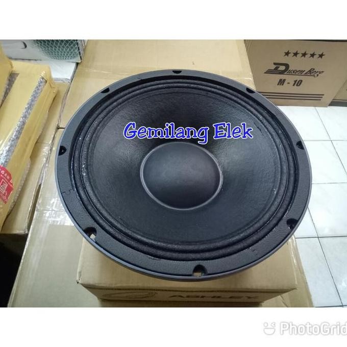 Speaker Ashley 10 Inch Top 10Neo Original New Stok