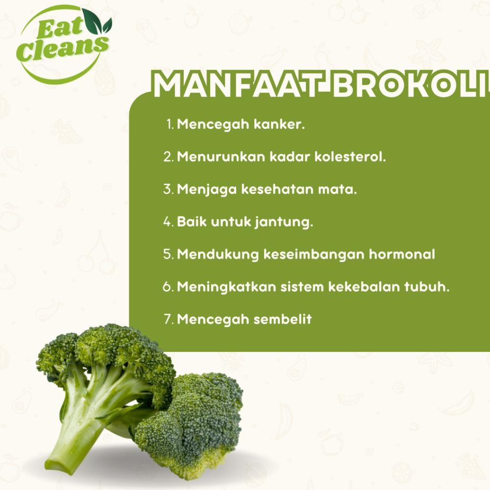 

PJ Keripik Brokoli Crispy - Snack Freeze Dried Broccoli - Keripik Buah Sayur - Snack Diet Sehat - Camilan Kripik Brokoli - Healthy Snack Enak