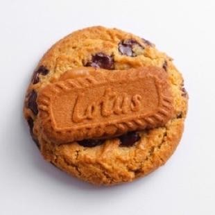

PJ Lotus Biscoff Chocolate Chip Cookie Oven Fresh Vegan/Non-Vegan