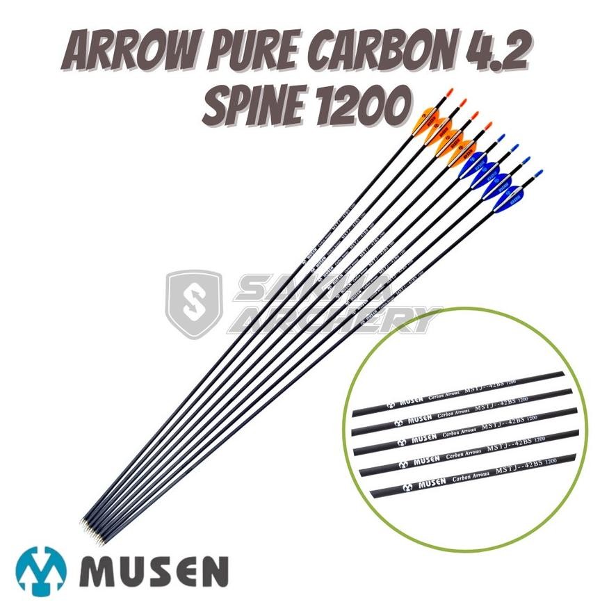 Arrow Musen Pure Carbon 4.2 Spine 1200 - MSTJ 42BS