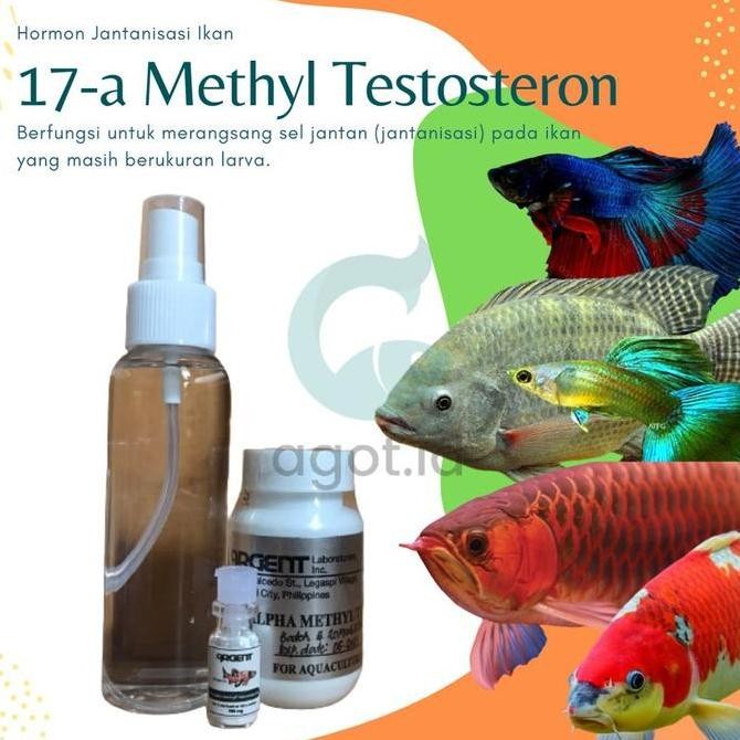 17A metil testosteron hormon jantanisasi ikan 100mg / 17 A MT