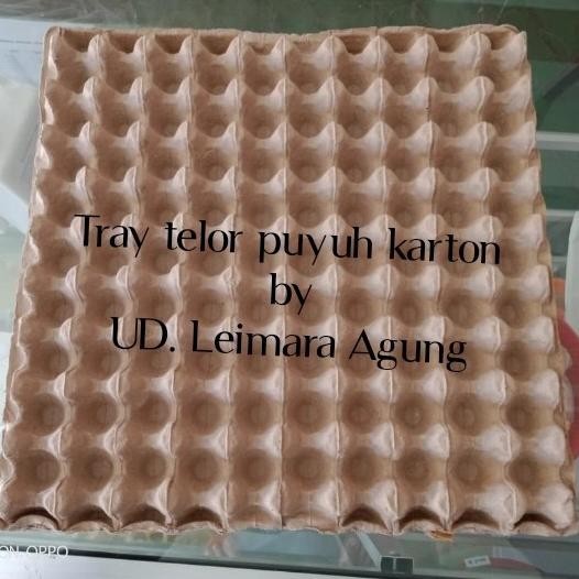 (Expert) tray puyuh karton/tempat telur puyuh karton
