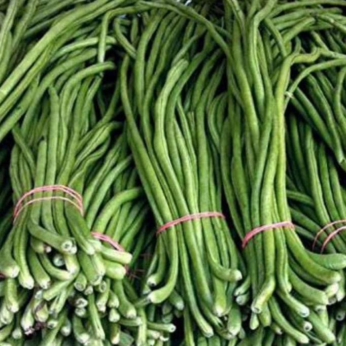 

sayur kacang panjang segar tangerang