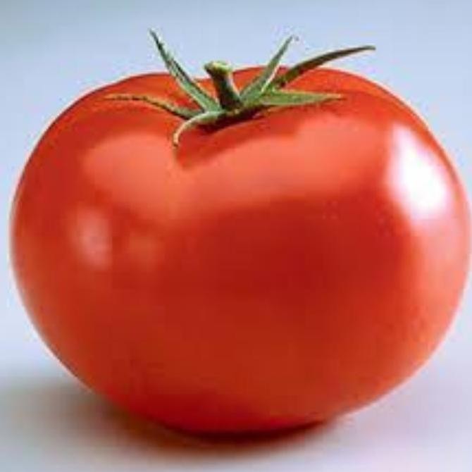 

buah sayur tomat tomato beef recento segar fresh organik