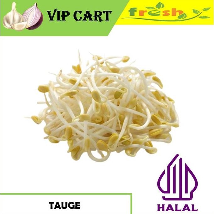 

SAYUR TOGE TAOGE FRESH SEGAR