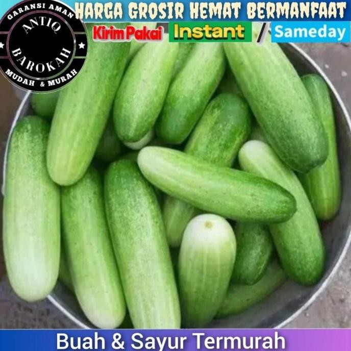 

Timun ketimun lokal muda hijau segar fresh sayur murah hemat 500gr