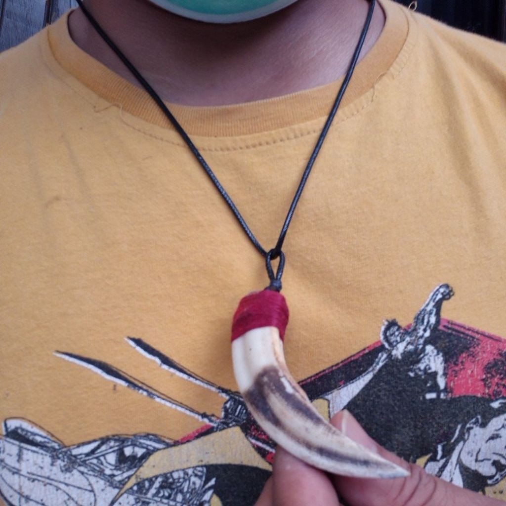 kalung taring babi hutan asli kalimantan ukuran kecil pas buat harian