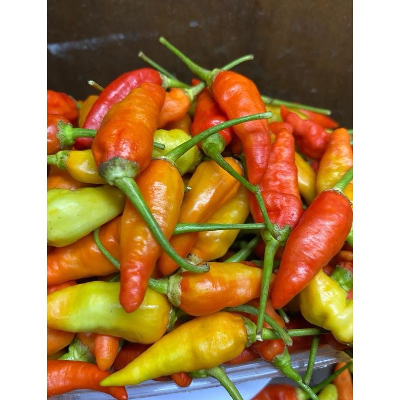 

Cabai Rawit Merah Pedas Segar Langsung Petani 500g