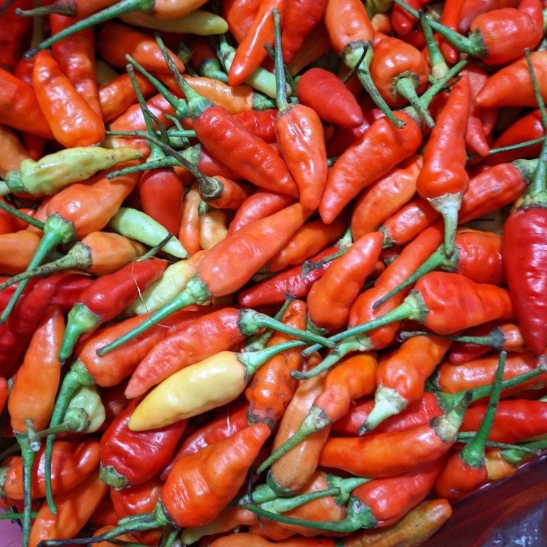 

cabai/cabe rawit merah
