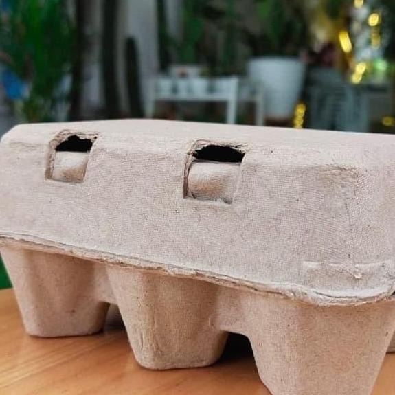 Paper Egg 6 Lubang / Box Telur Karton 50 Pcs