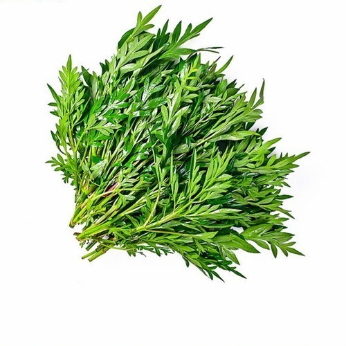 Daun Kenikir Segar Kiosayur