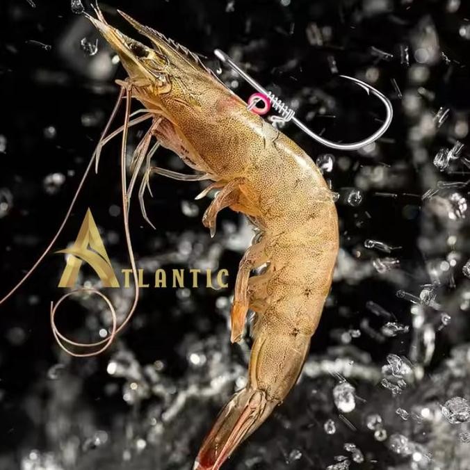 Tersedia Mata Kail Pancing Umpan Udang Hidup Atlantic Alat untuk Mancing Ikan di Laut Sungai dan Dan