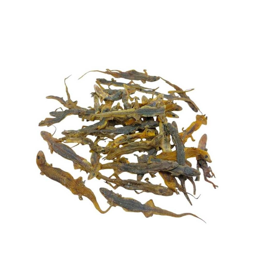 

ready Cicak Kering Utuh - Bi Hu - BIHU - Mengobati Asma dan Penyakit Kulit murah