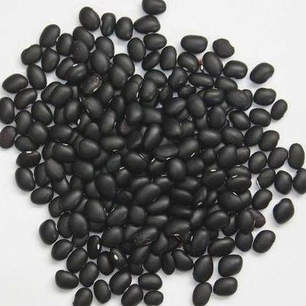 

Grosir Black Turtle Bean 1Kg / Black Bean / Kacang Hitam 1Kg