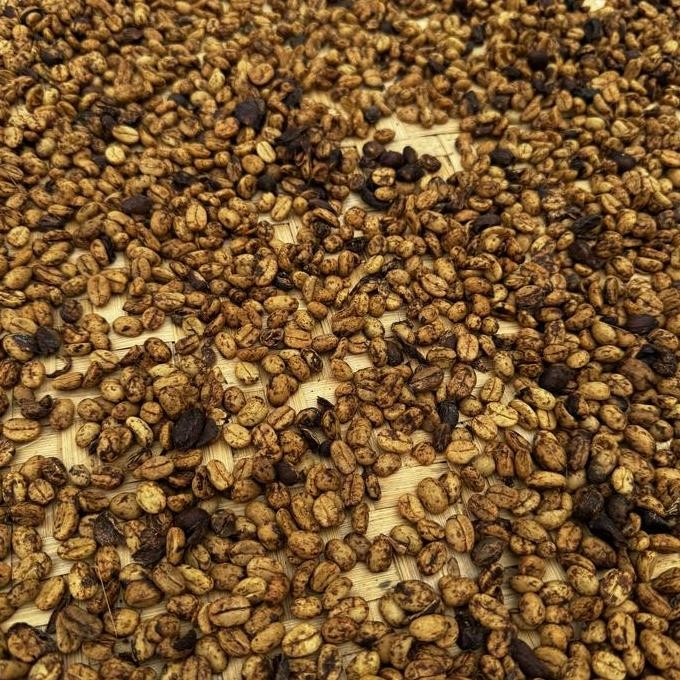 

[[ VELCRO / KOPI TORAJA MAKALE MELON CANDY SPECIALTY COFFEE BEST SELLER