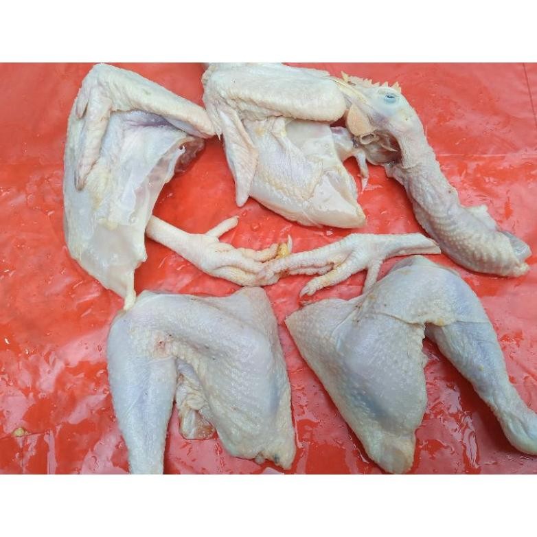 

Ayam Pejantan Karkas Frozen 800G - Ukuran Hidup 1.1 Kg - Harga Hemat Original