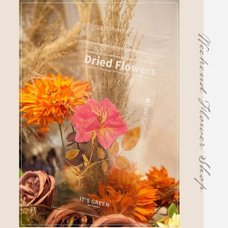 

Dried Flowers Bookmark Flake Stickers Set RB07
