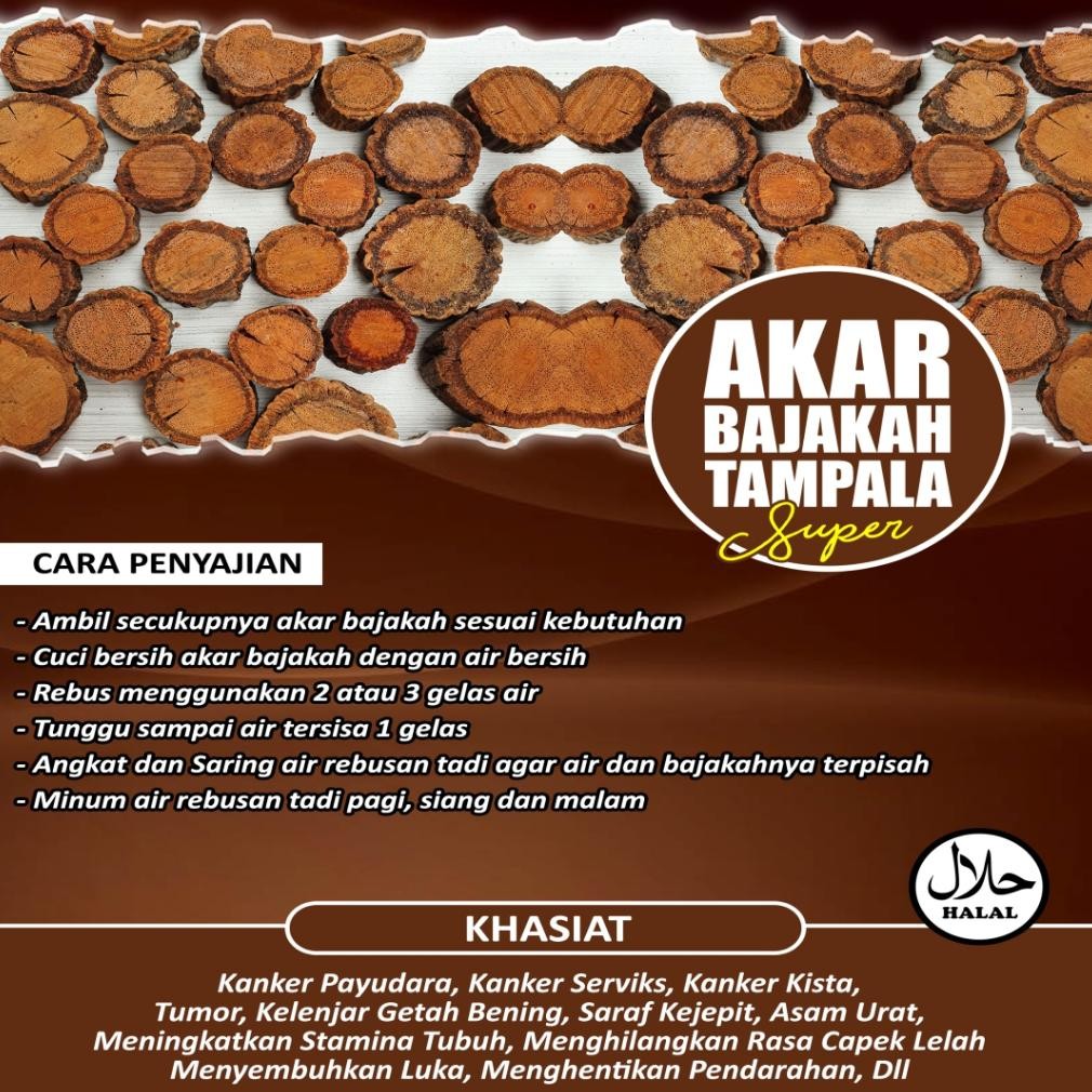

Akar Bajakah Tampala Super Asli Kalimantan (1kg)