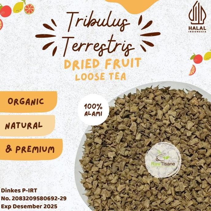 

SALE!!! Tribulus Terrestris Fruit Tea / Bai Ji Li / Teh Buah Tribulus Isi 100 Gram